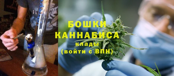 стаф Магадан