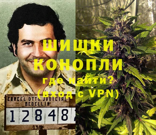 шишки Майский