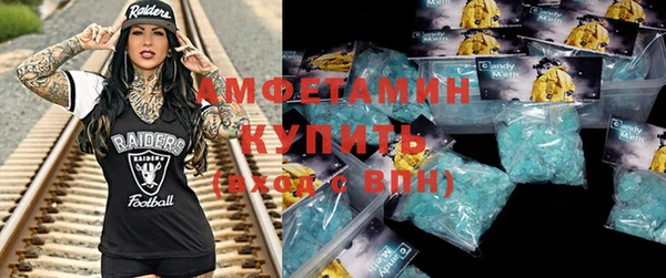 шишки Майский