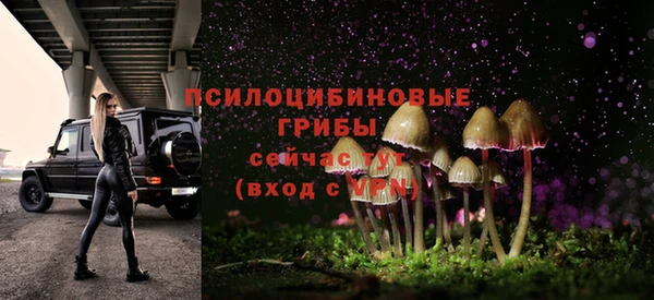 прущие крисы Магас