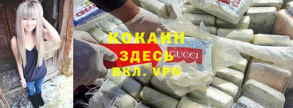 шишки Майский