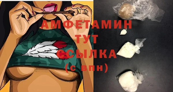 шишки Майский
