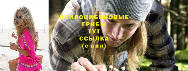 прущие крисы Магас