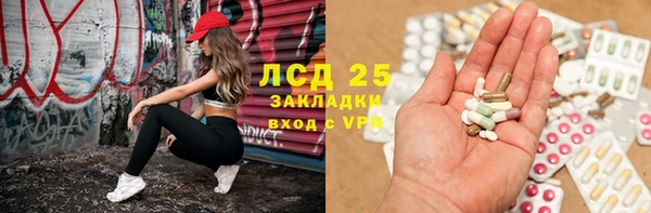 прущие крисы Магас