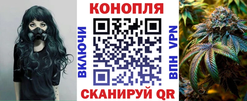 Шишки марихуана марихуана  МЕГА рабочий сайт  Малгобек 